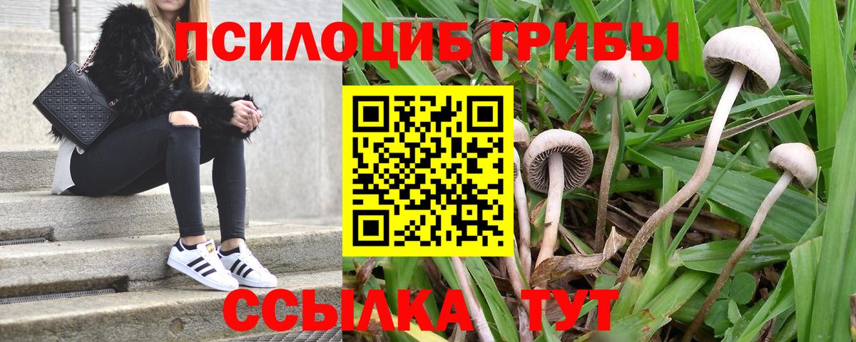 Псилоцибиновые грибы мухоморы  Вход с VPN  Баксан 
